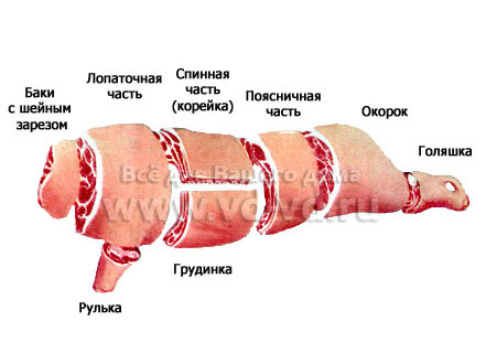 Чем отличается свиная корейка от карбоната, окорока, лопатки и грудинки